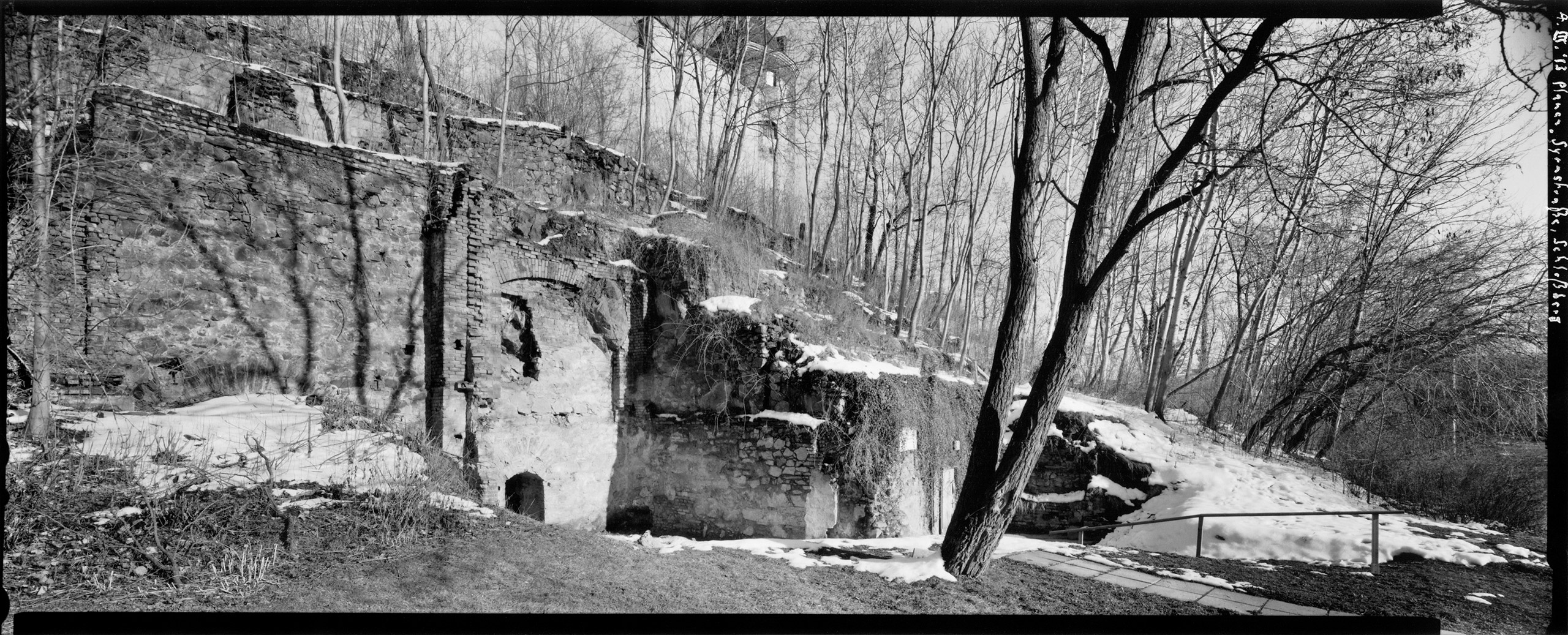 2013-03-04, Plauen, Syrastraße, Schlossberg
